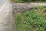 Land for sale in Pa Khlok, Phuket
