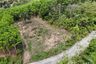 Land for sale in Pa Khlok, Phuket