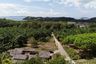 Land for sale in Pa Khlok, Phuket
