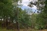 Land for sale in Mai Khao, Phuket