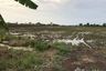 Land for sale in Bang Decha, Prachin Buri