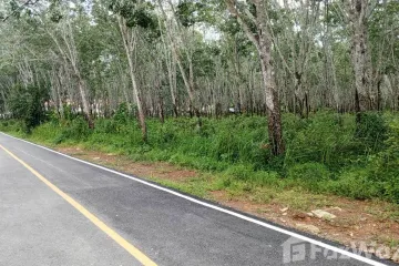 Land for sale in Si Sunthon, Phuket
