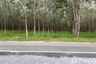 Land for sale in Si Sunthon, Phuket