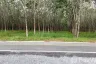 Land for sale in Si Sunthon, Phuket