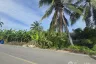 Land for sale in Bang Chang, Nakhon Pathom