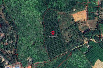 Land for sale in Thep Krasatti, Phuket