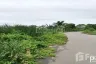 Land for sale in Ban Ko, Samut Sakhon