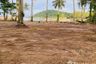 Land for sale in Ko Chang, Trat
