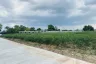 Land for sale in Suranari, Nakhon Ratchasima