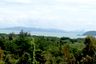 Land for sale in Pa Khlok, Phuket