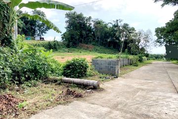 Land for sale in Pa Khlok, Phuket