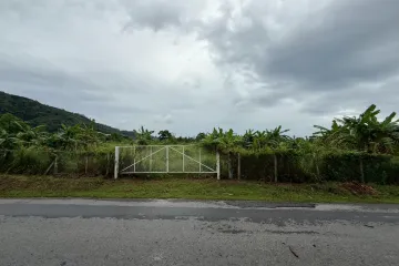 Land for sale in Chalong, Phuket