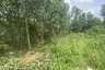 Land for sale in Si Sunthon, Phuket