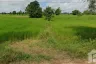 Land for sale in Sueang Khao, Sisaket