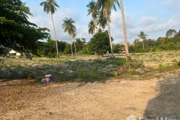 Land for sale in Samnak Thon, Rayong