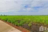 Land for sale in Thep Nakhon, Kamphaeng Phet