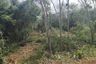 Land for sale in Chalong, Phuket