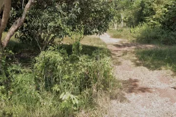 Land for sale in Khai Bok Wan, Nong Khai