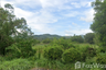 Land for sale in Thep Krasatti, Phuket
