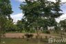 Land for sale in Khon Kaen, Roi Et
