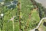 Land for sale in Pa Khlok, Phuket