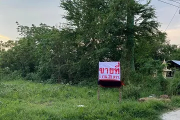 Land for sale in Pak Chong, Nakhon Ratchasima