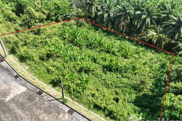 Land for sale in Pa Khlok, Phuket