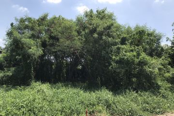 Land for sale in Bang Kaeo, Samut Prakan