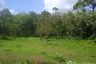 Land for sale in Si Sunthon, Phuket