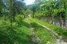 Land for sale in Si Sunthon, Phuket