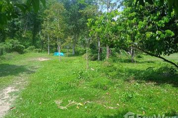 Land for sale in Si Sunthon, Phuket