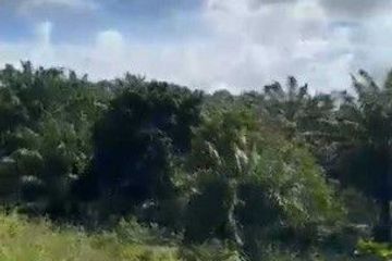 Land for sale in Pa Khlok, Phuket