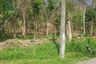 Land for sale in Chalong, Phuket