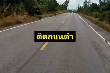 Land for sale in Phatthana Nikhom, Lopburi