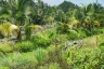 Land for sale in Bang Chueak Nang, Bangkok