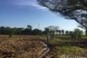 Land for sale in Hang Nam Sakhon, Chainat