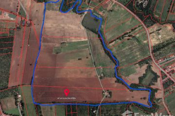 Land for sale in Pak Chong, Nakhon Ratchasima