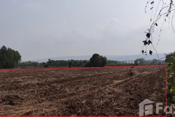 Land for sale in Wang Thong, Phitsanulok