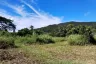 Land for sale in Sai Khao, Chiang Rai