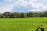 Land for sale in Sai Khao, Chiang Rai