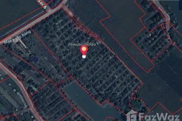 Land for sale in Rim Ping, Lamphun