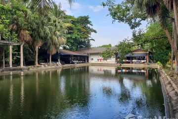 Land for sale in Bua Ngam, Ratchaburi