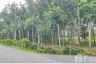 Land for sale in Thep Krasatti, Phuket