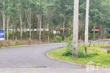 Land for sale in Thep Krasatti, Phuket