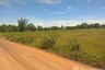 Land for sale in Sam Phrao, Udon Thani