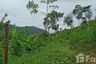Land for sale in Ko Kaeo, Phuket