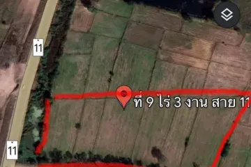 Land for sale in Nong Klap, Nakhon Sawan