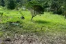 Land for sale in Pa Khlok, Phuket