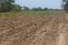 Land for sale in Den Yai, Chainat