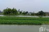 Land for sale in Don Faek, Nakhon Pathom